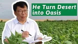 Chinese scientists turn deserts into fertile fields!