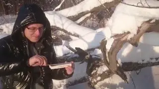 Супер жук. Очистка от снега взрывом. Петарда жук за 47 руб, со взрывом.