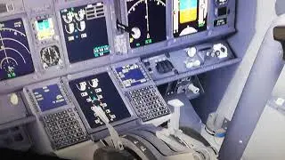 P3D v4 5 - PMDG 737NGXu DOUBLE FPS