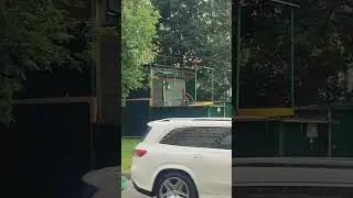 московская голубятня