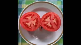 Томат Этюд F2.