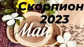 Скорпион Май 2023 
