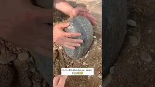 Monster eggs #gemstone #rock #crystals #fossils