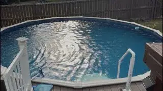 POOL VLOG !!!! 🌊👙🌴