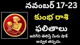 kumbha rashi నవంబర్ 17-23 కుంభ రాశి ఫలితాలు  2024