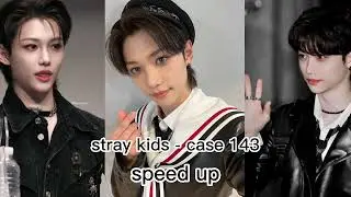 stray kids -case 143 speed up