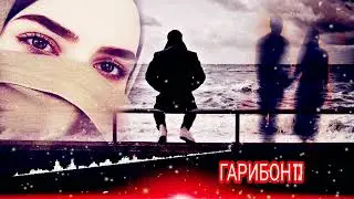 🌹Бехтарин 🌷 Суруди 🌷 Эрони 🌿 2023