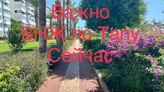 КАК МОЖНО ПОЛУЧИТЬ ВНЖ ПО ТАПУ ?