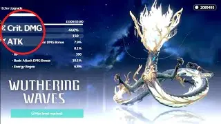 How to get jue echo in Wuthering waves