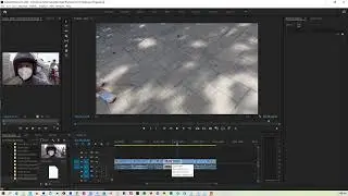 Adobe Premiere Pro  FIX - Unable to Drag Video or Audio in Timeline for Beginners