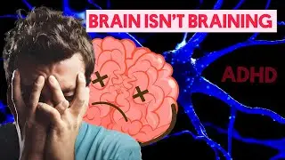 How ADHD Affects Your Brain and Behavior?