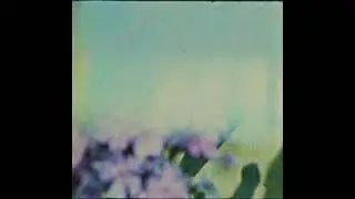 ✰free// 