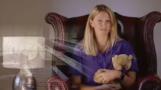 Lula, Lula Bye Bye - Listen with Lizzie and Noah