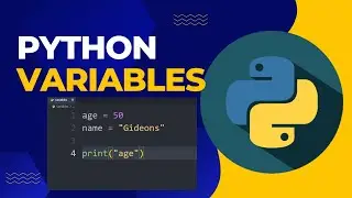 Learn Python Variables the Easy Way | Beginner's Guide