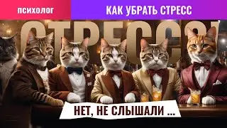 Польза и вред стресса | Психолог Анастасия Кочер
