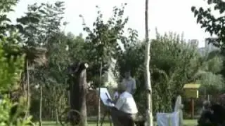 CASATORIEI SI CEREMONII IN AER LIBER