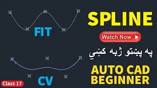 Spline vs Polyline in AutoCAD | Which One to Use?  Tutorial in Pashto
