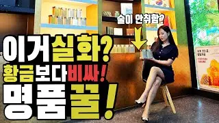 숙취해소에 10억을 태워? 하다하다 내가 직접 사업한다 3000년 전통의 유카탄반도의 꿀 찔찔체꿀777마야허니