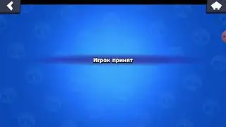 ИГРАЕМ В БРАВЛ!МОЁ ИМЯ...??????(2)