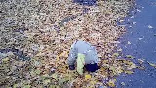 Осень наступила, опали листочки, мама замёрзла)))
