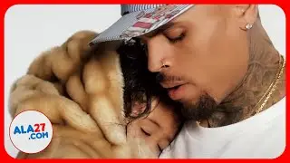 💿 Chris Brown - Little More (Royalty) (Music History)
