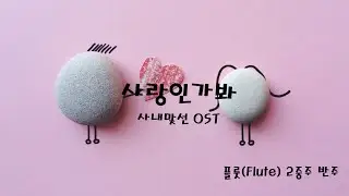 사랑인가봐(Love, Maybe) - 멜로망스 | 플룻(Flute) 2중주
