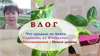ВЛОГ.Что продала на Авито.Расхламление.Немного Wildberries