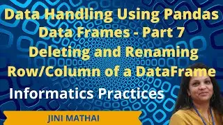 Data Frames in Pandas - Part 7