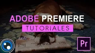 Text Animation in Premiere Pro (02) / Tutorial