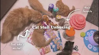 Spoiling My Cats On My Birthday
