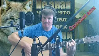Одинокий волк+