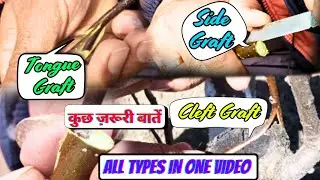 Types of 🍏Grafting || 2024 ||