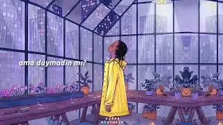 Pim Stones - we have it all (Türkçe Çeviri)