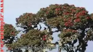chin tong tan-2