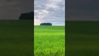27 июня 2024 г.