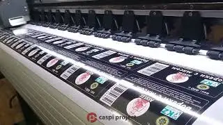 Печать стикеров (наклеек) на виниле