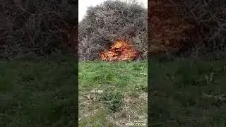 Van Özalp Sağmalı Köyü