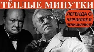 Удивительная легенда о Черчилле и пенициллине