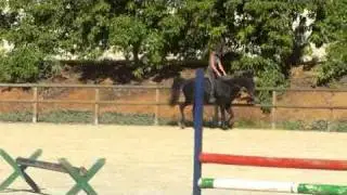 The Dream .. Jumping Romi in a big arena