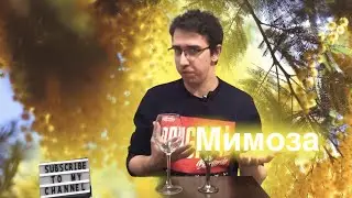 МИМОЗА \ РЕЦЕПТ (не салат)