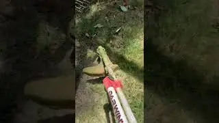 Darwin’s Grip make trimming a breeze with a Stihl. Discount code steadfast10 to save 10%.
