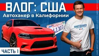 [ВЛОГ] Автохакер в Калифорнии. Dodge Charger, Полет в бизнес классе, In'N'Out