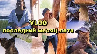 VLOG: последний месяц лета