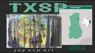 Kermit, is that you?? (TXSP Episode 16)