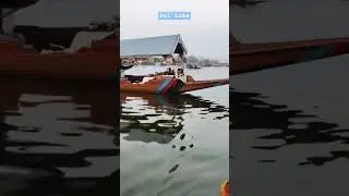 #kashmir #srinagar #dallake #tourism #winter #trips #trending #shorts #story #boating