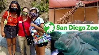 San Diego Zoo Vlog... seeing the animals close up!