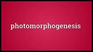 Photomorphogenesis Meaning