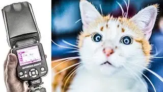 Triopo TR-986C wireless flash kit review - Affordable Speedlite with HSS & TTL + Roundflash