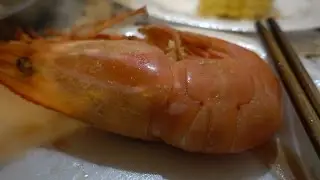 EATING GIANT SHRIMPS