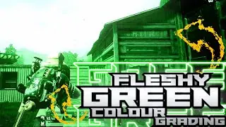 Make This New Fleshy Colour Grading - ADDICTS TUTORICS